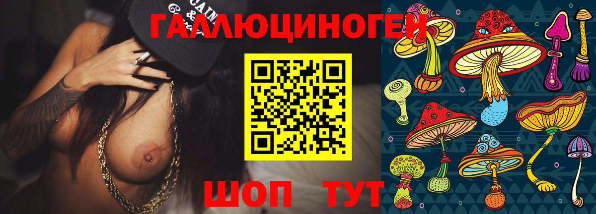 Псилоцибиновые грибы Magic Shrooms  Вход с VPN  Курчалой 